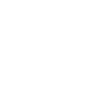 sun icon