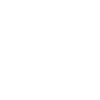 snow icon